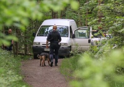 Efter påverkad vansinnesfärd på E6 med skåpbil - Kvinna dömd för flera brott