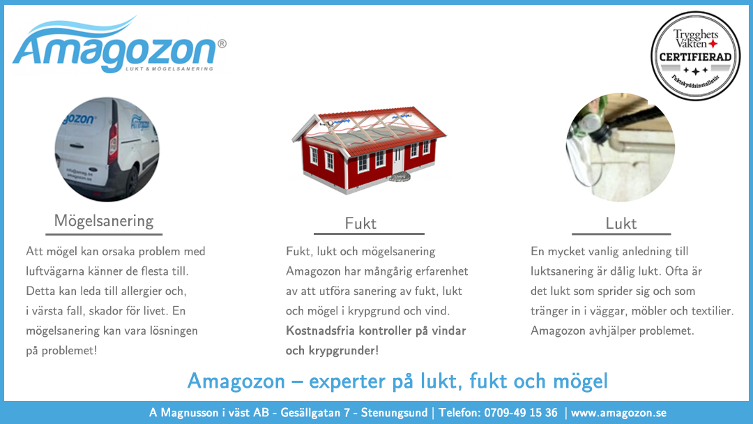 Amagozon – Lukt & Mögelsanering