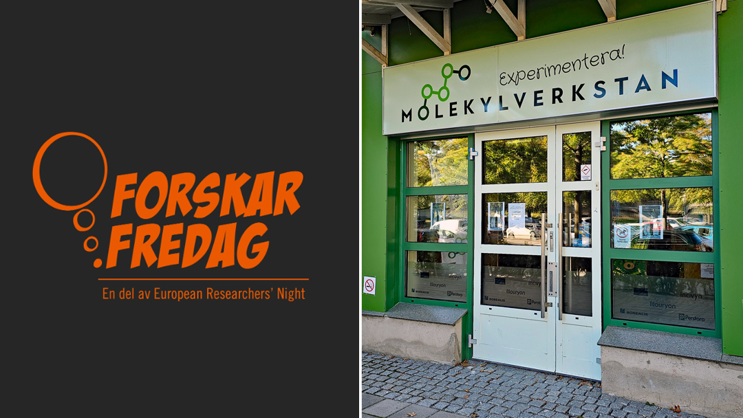 Årets ForskarFredag gräver där du står