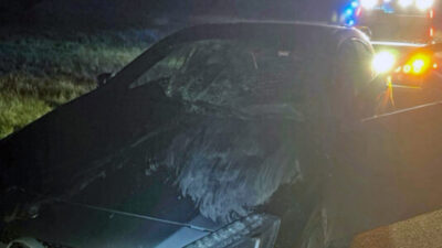 Viltolycka mellan personbil och älg - Ambulans på plats