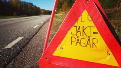 Jaktbrott - Sköt fel älg